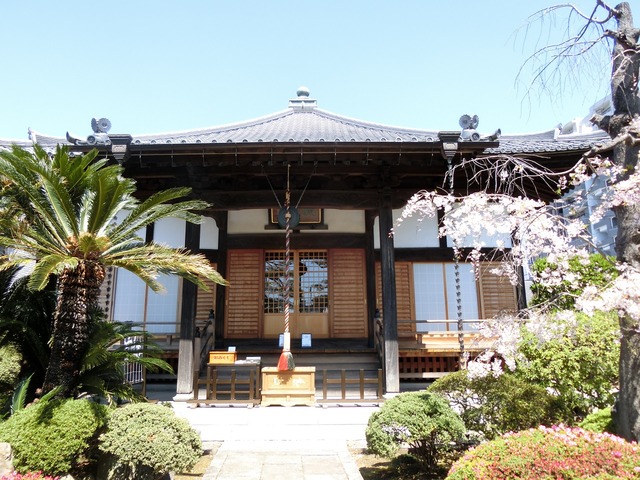 20190413_111356_CIMG8193