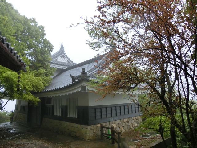 20190501_084617_CIMG0124