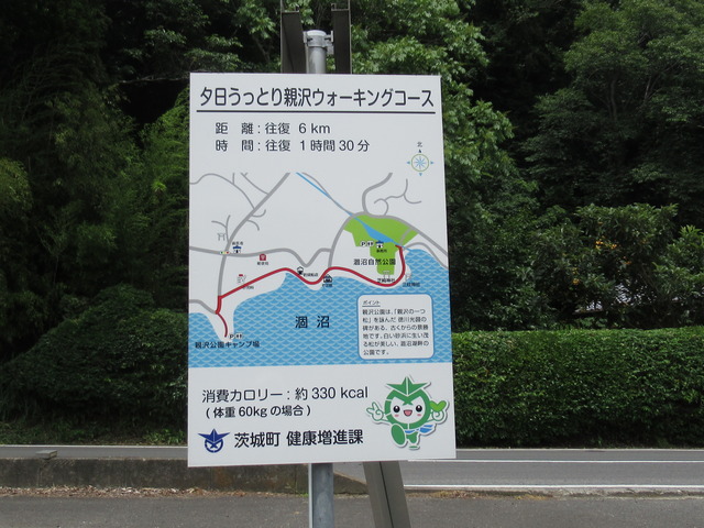 20210612114900_IMG_5913