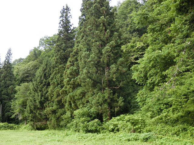 20190711_070023_CIMG1970