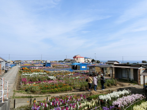 CIMG9381