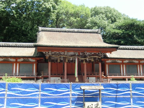 20110804_125548_CIMG0678