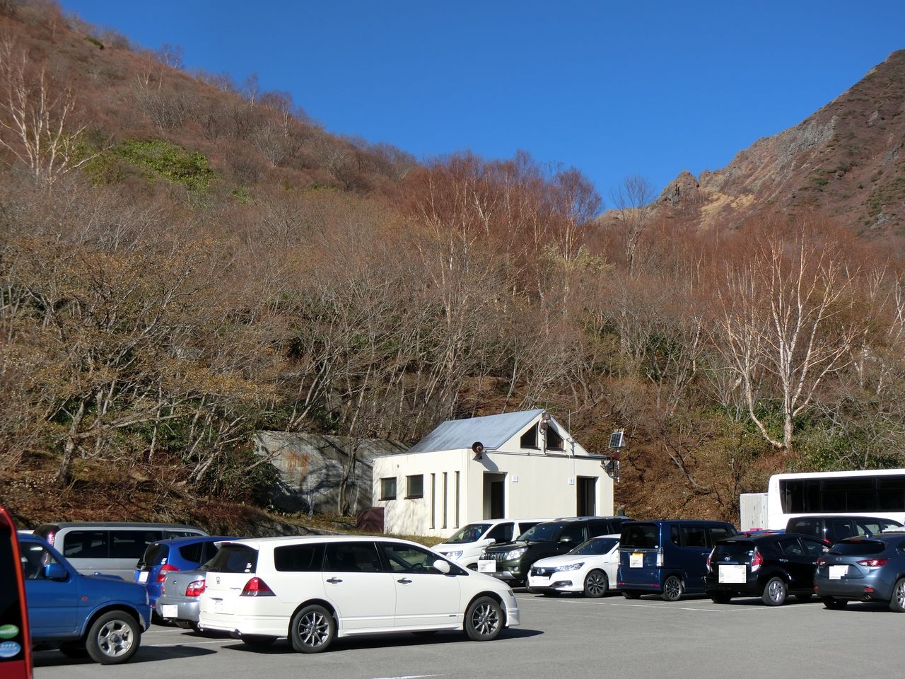 17 11 03 金 峠の茶屋駐車場 栃木県 ウシ子とウシ夫の牛歩旅