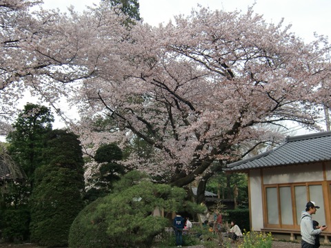 20160403_161808_CIMG6888