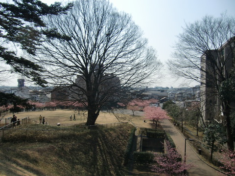 20170320_101306_CIMG6617
