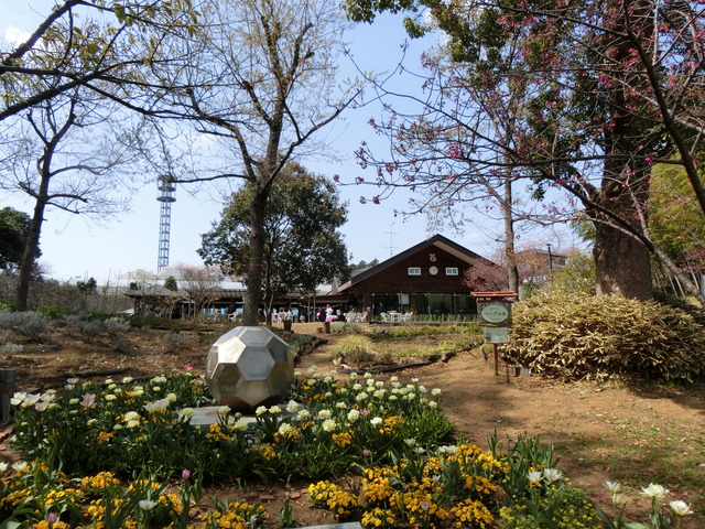 20180401_131807_CIMG8778