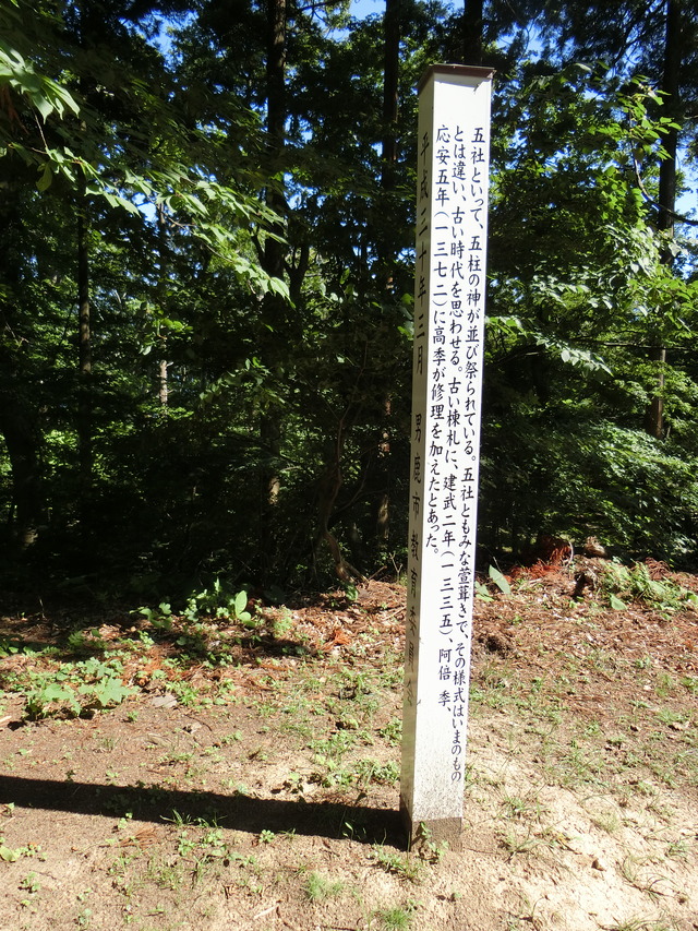 20190715_145603_CIMG3569
