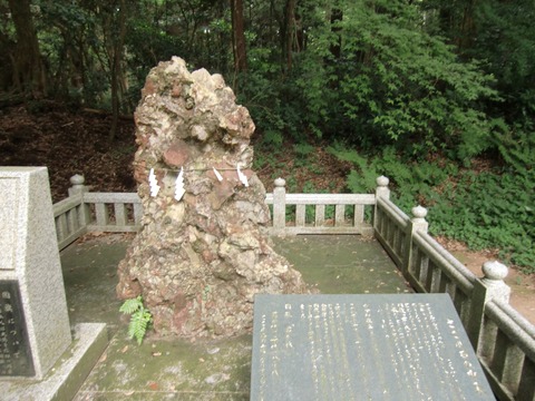 20120722_135245_CIMG1069