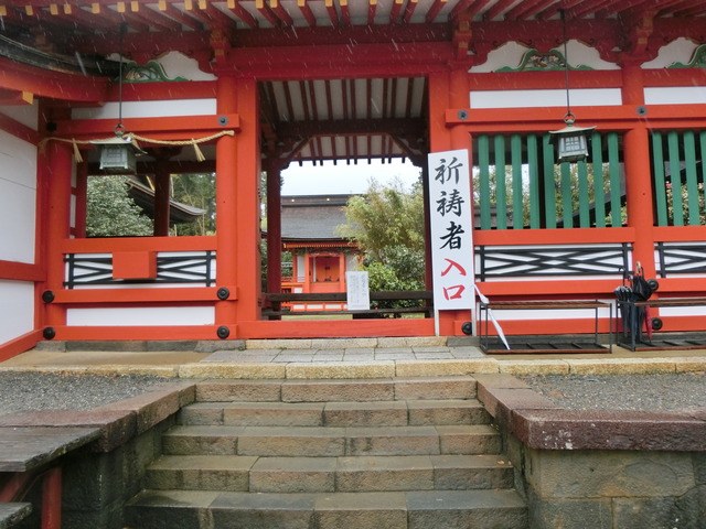 20190430_145508_CIMG9922