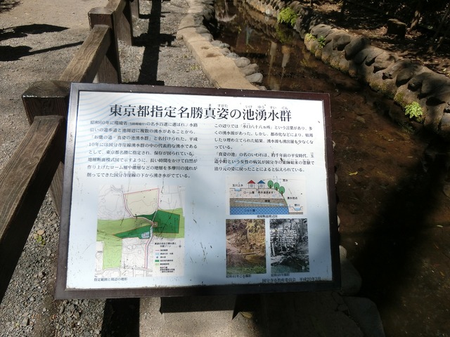 20190413_132611_CIMG8289