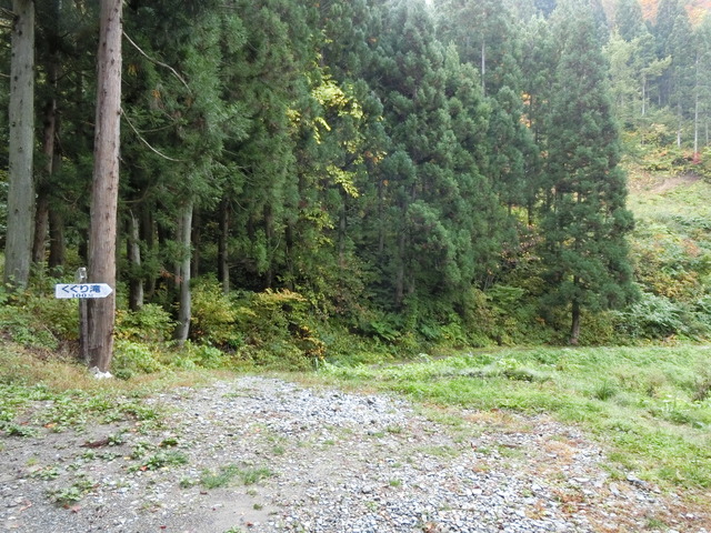 20191021_080345_CIMG6563