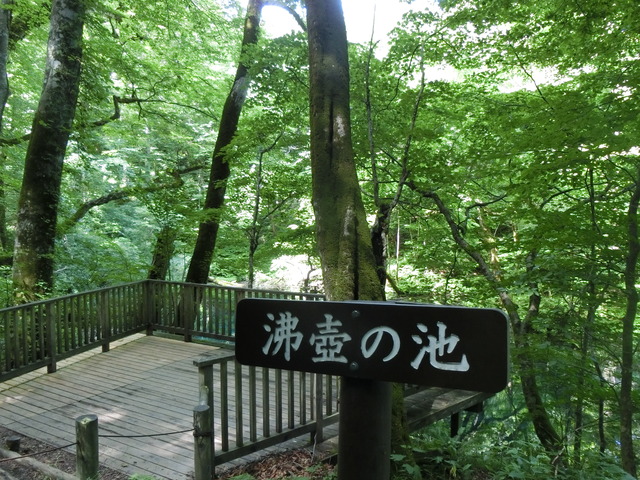 20190716_094753_CIMG3821