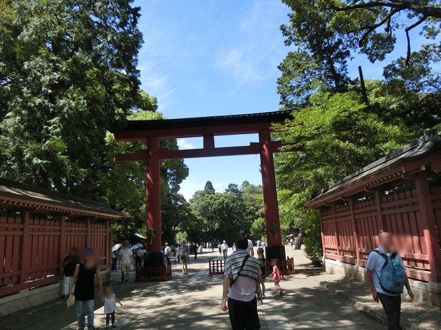 20180630_133731_CIMG1170