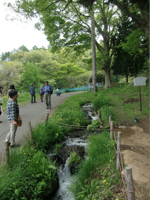 20150504_121621_CIMG4609