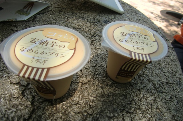 20170610_113214_CIMG0403