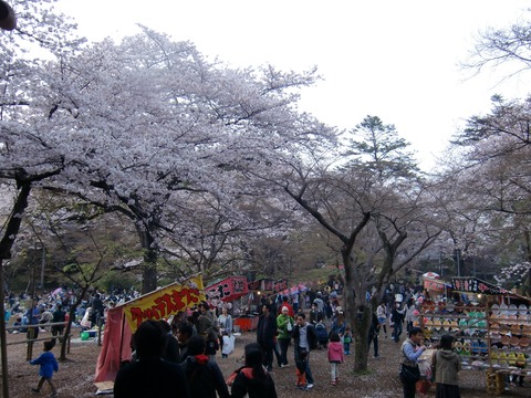 20160403_161302_CIMG6874
