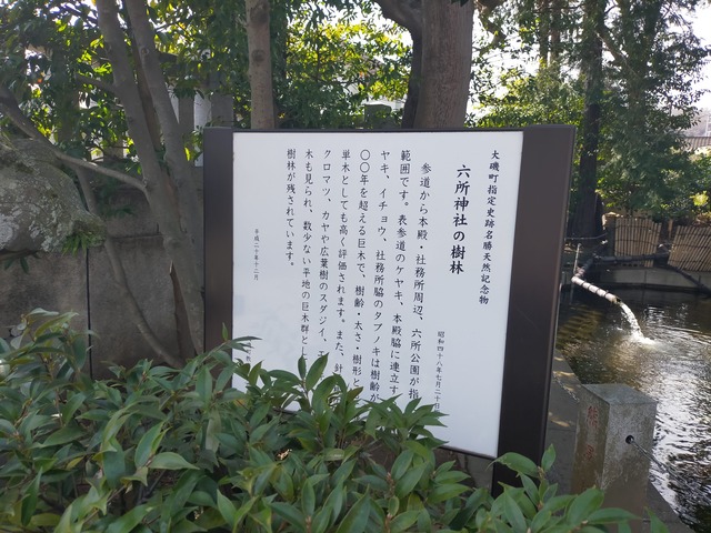 IMG20210309131629