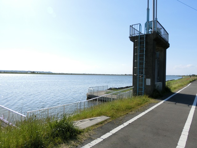 CIMG0198 (1)