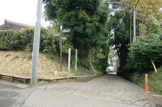 20170401_145650_CIMG7648