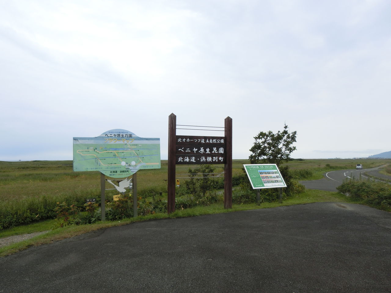 17 09 12 火 浜頓別町 ベニヤ原生花園 北海道 ウシ子とウシ夫の牛歩旅