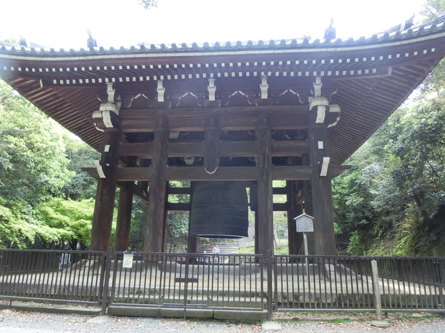 20190503_112704_CIMG0885
