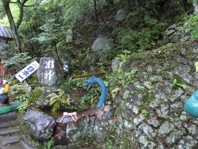 20190501_170241_CIMG0306