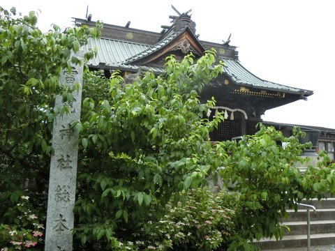 CIMG2254