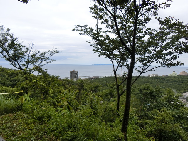 20190712_103619_CIMG2470