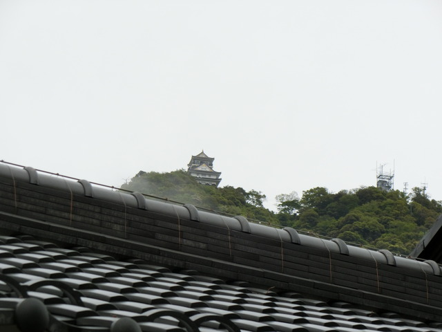 20190501_072500_CIMG0082