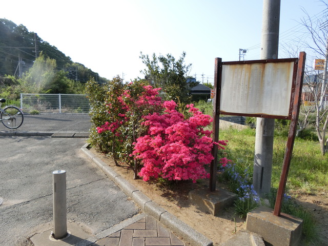 20180421_154707_CIMG9130