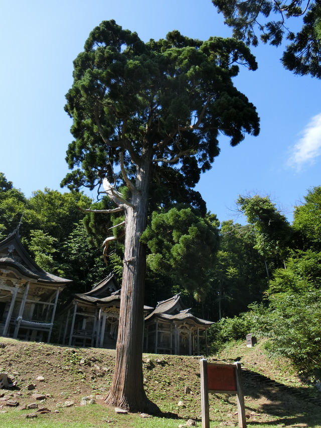 20190715_145702_CIMG3572