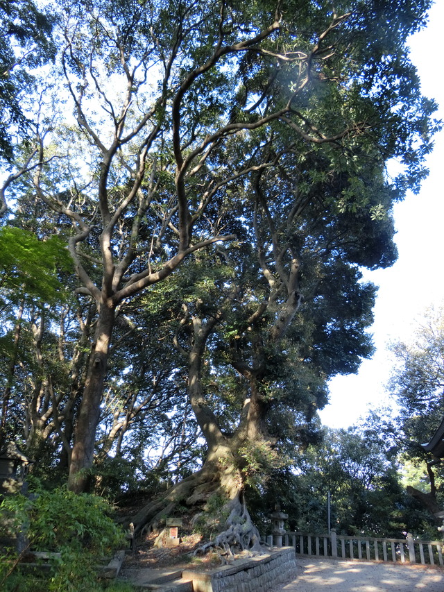 20180421_162526_CIMG9180