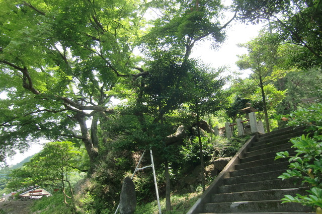 20170624_111657_CIMG0993