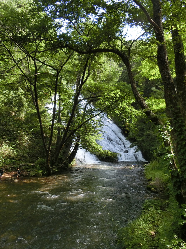 20190812_085131_CIMG4924