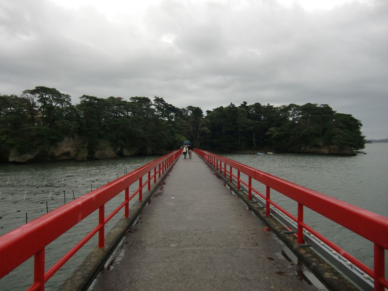 16 10 9 日 松島 福浦橋 宮城県 ウシ子とウシ夫の牛歩旅