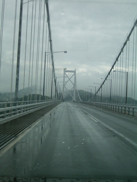 20090726_164927_RIMG0269