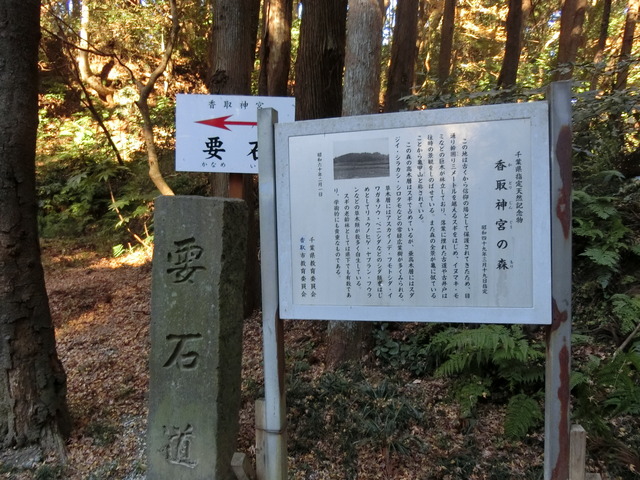 20190103_102006_CIMG5314