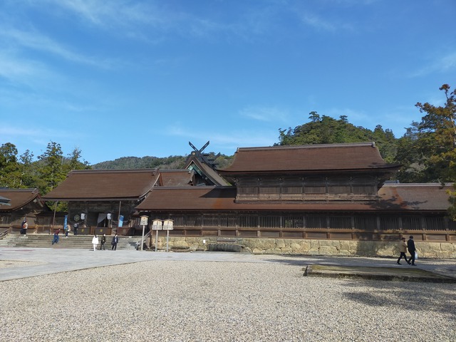 IMG20210311094919