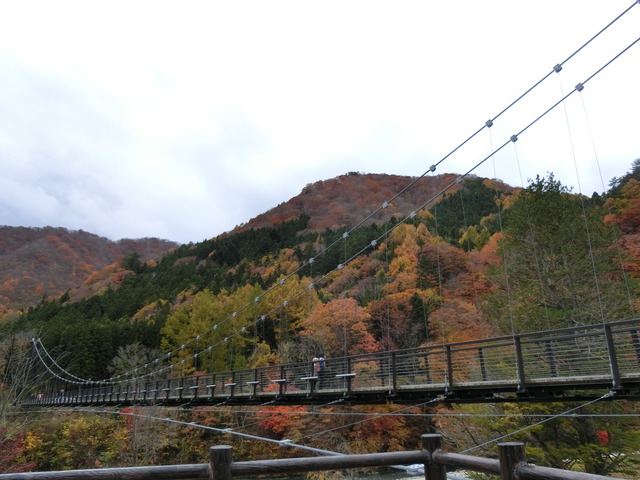 20171104_100700_CIMG6576
