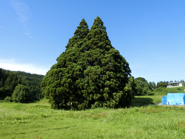 20190713_154438_CIMG2928