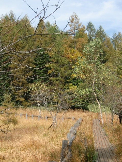 20141012_100520_CIMG3745