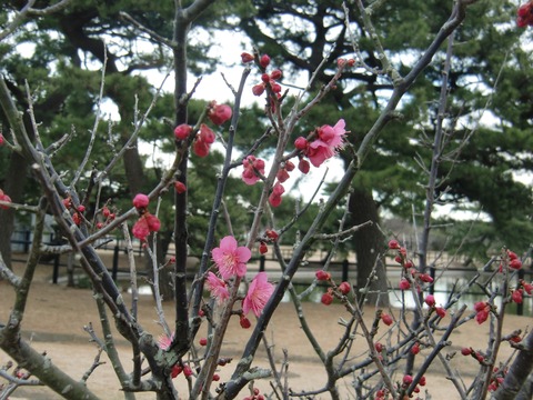 20170114_145757_CIMG3205