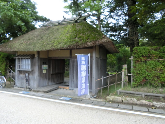 20190712_144522_CIMG2601