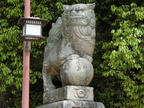 CIMG1249