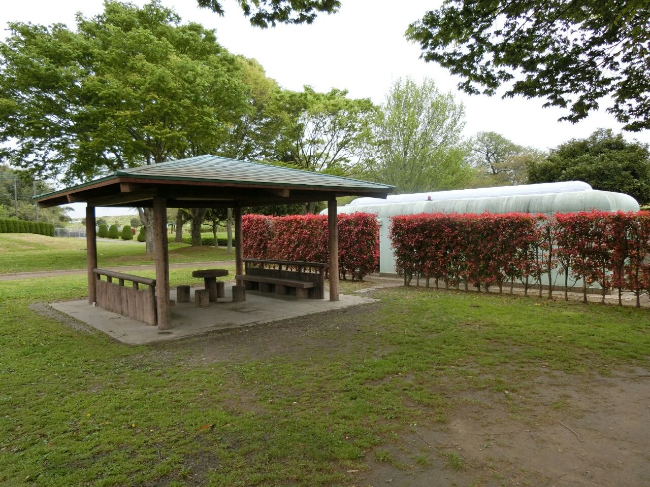 野田市スポーツ公園 千葉県 気になる駐車場 ウシ子とウシ夫の牛歩旅 野田市スポーツ公園 千葉県 気になる駐車場 ウシ子とウシ夫の牛歩旅