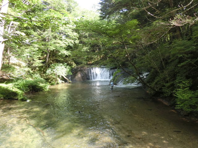 20190812_090531_CIMG4927
