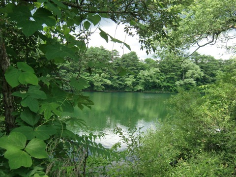 20100810_130849_CIMG0472