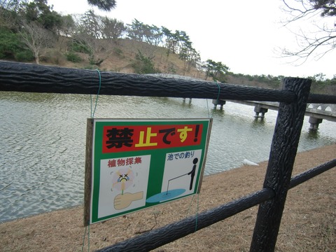 20170114_145859_CIMG3207