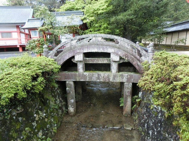20190430_144637_CIMG9909