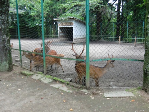 20120722_104534_CIMG1050